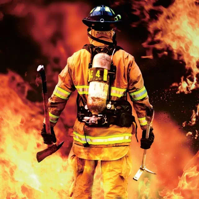 pg赏金女王(官方版)产品丨D1991芳纶阻燃警示带