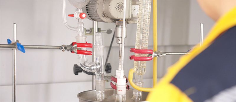 pg赏金女王-(官方版)中国网站