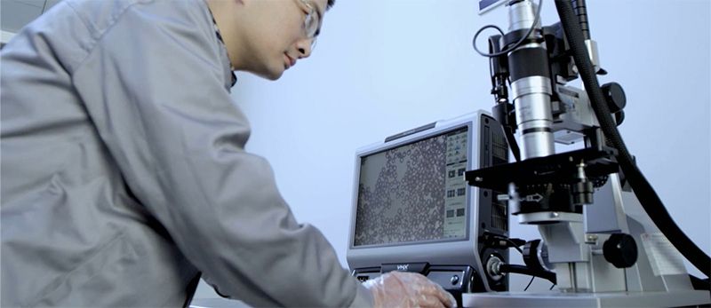 pg赏金女王-(官方版)中国网站