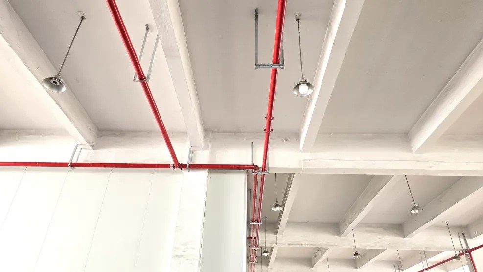 pg赏金女王(官方版)新质料1